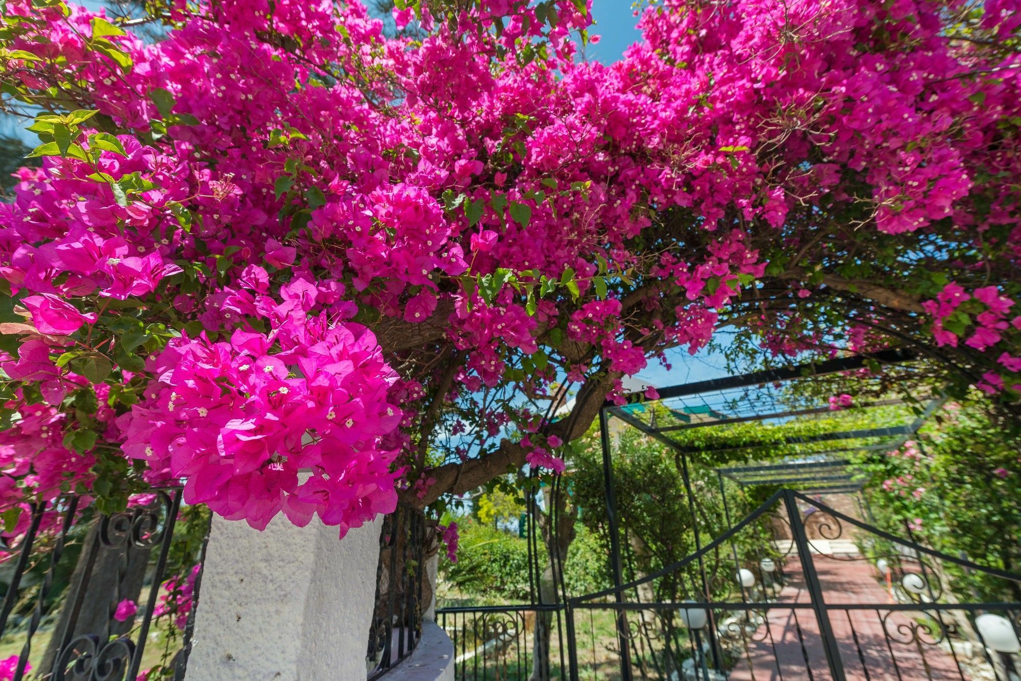 Villas Marianna Kalavárda Exterior foto